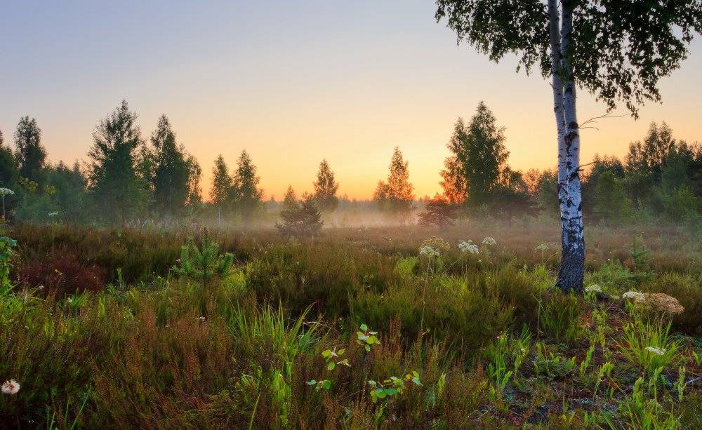 рассвет,утро, Андрей Дитковский
