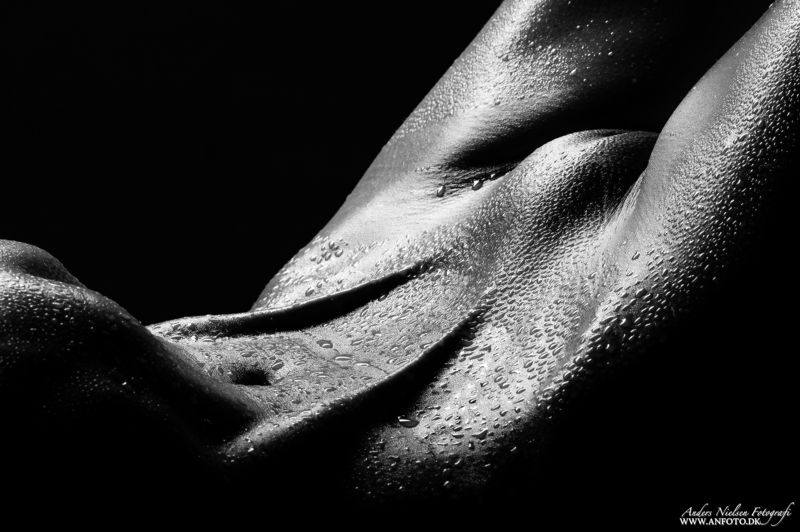 Musculus фото превью