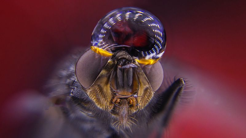 Летать фото превью