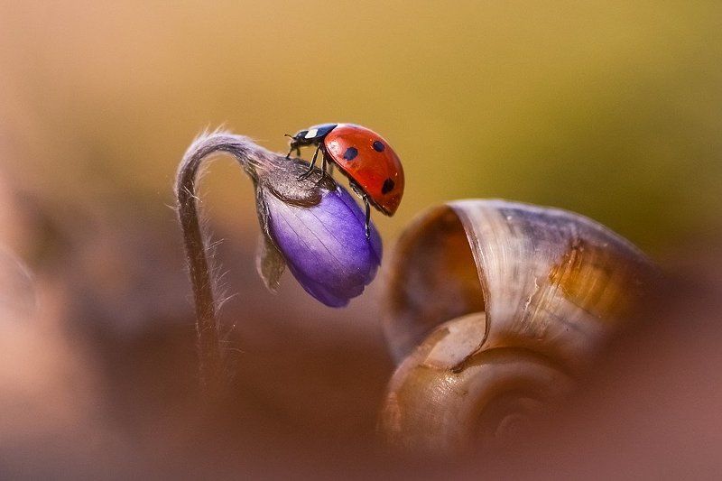 Скоро весна фото превью