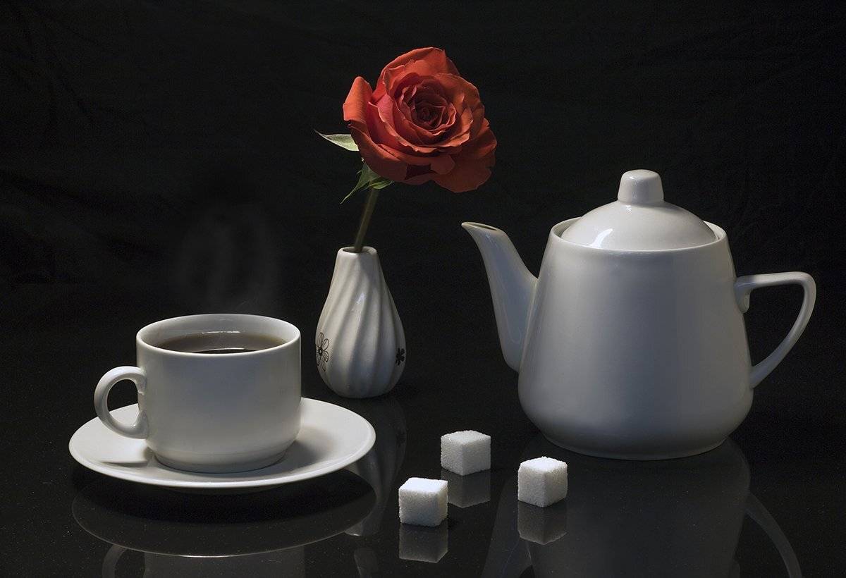 , Наталья Бочкарева