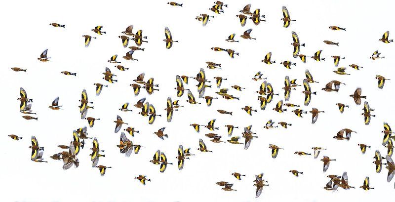 Ураган фото превью