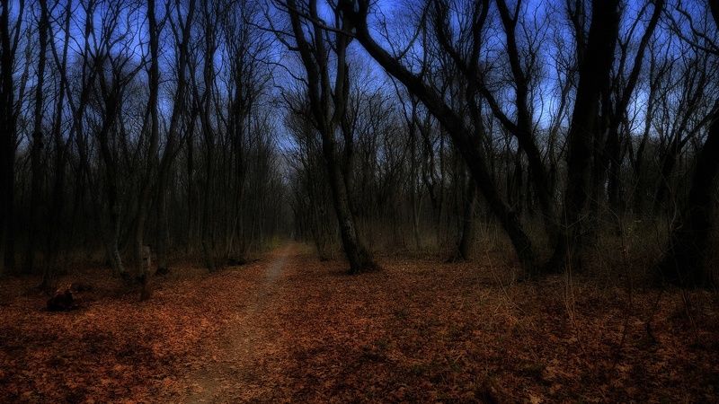 По дороге в Сонную лощину... фото превью