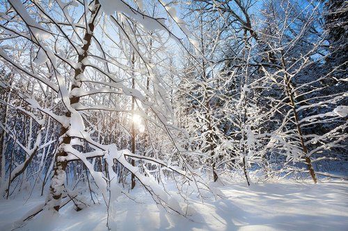Рождественский Печерск