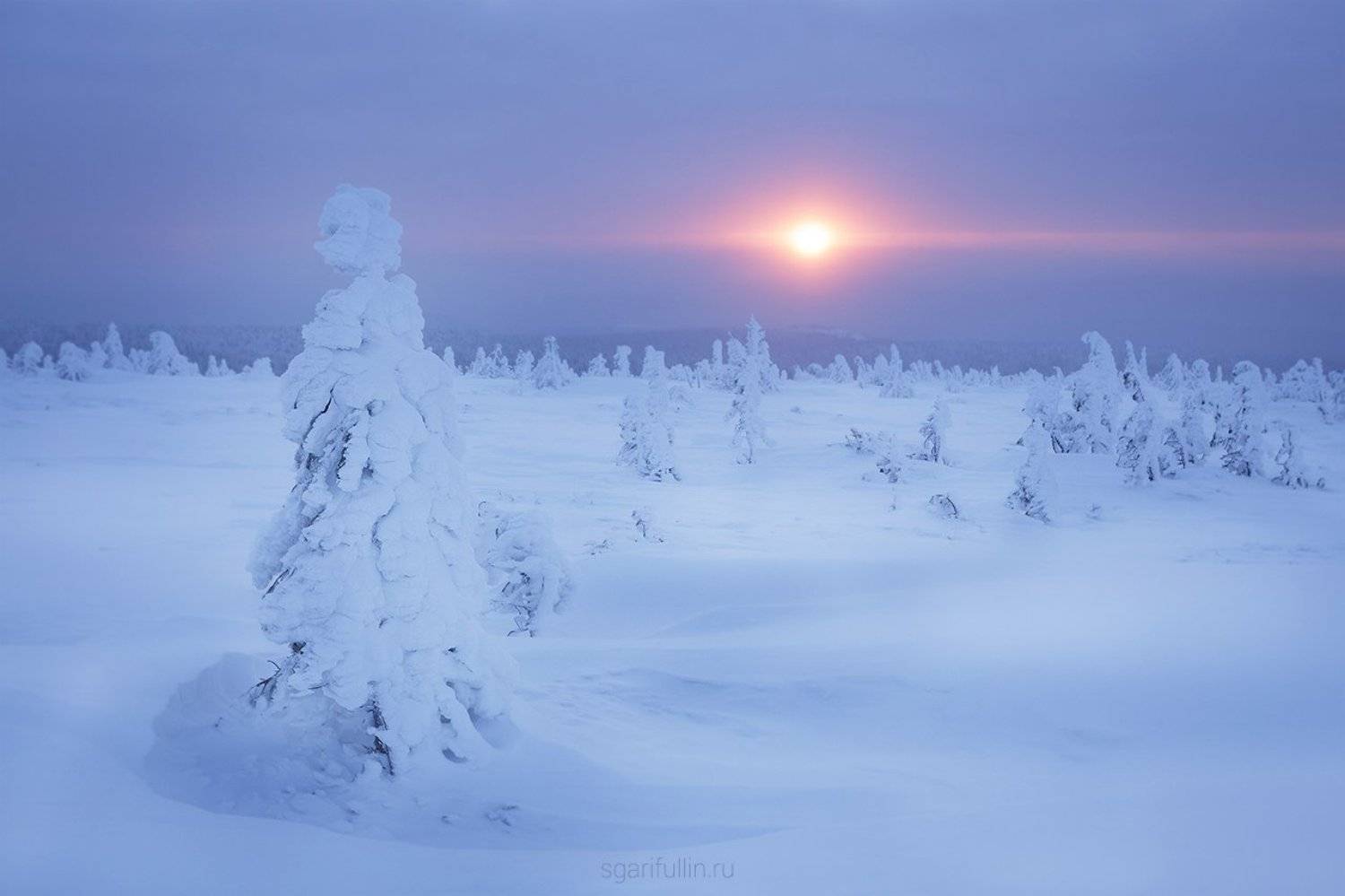 северный урал, урал, гух, главный уральский хребет, природа, зима, мороз, закат, восход, елка, россия, Сергей Гарифуллин