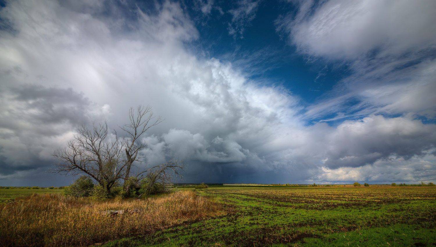 , Аркадий Саямов