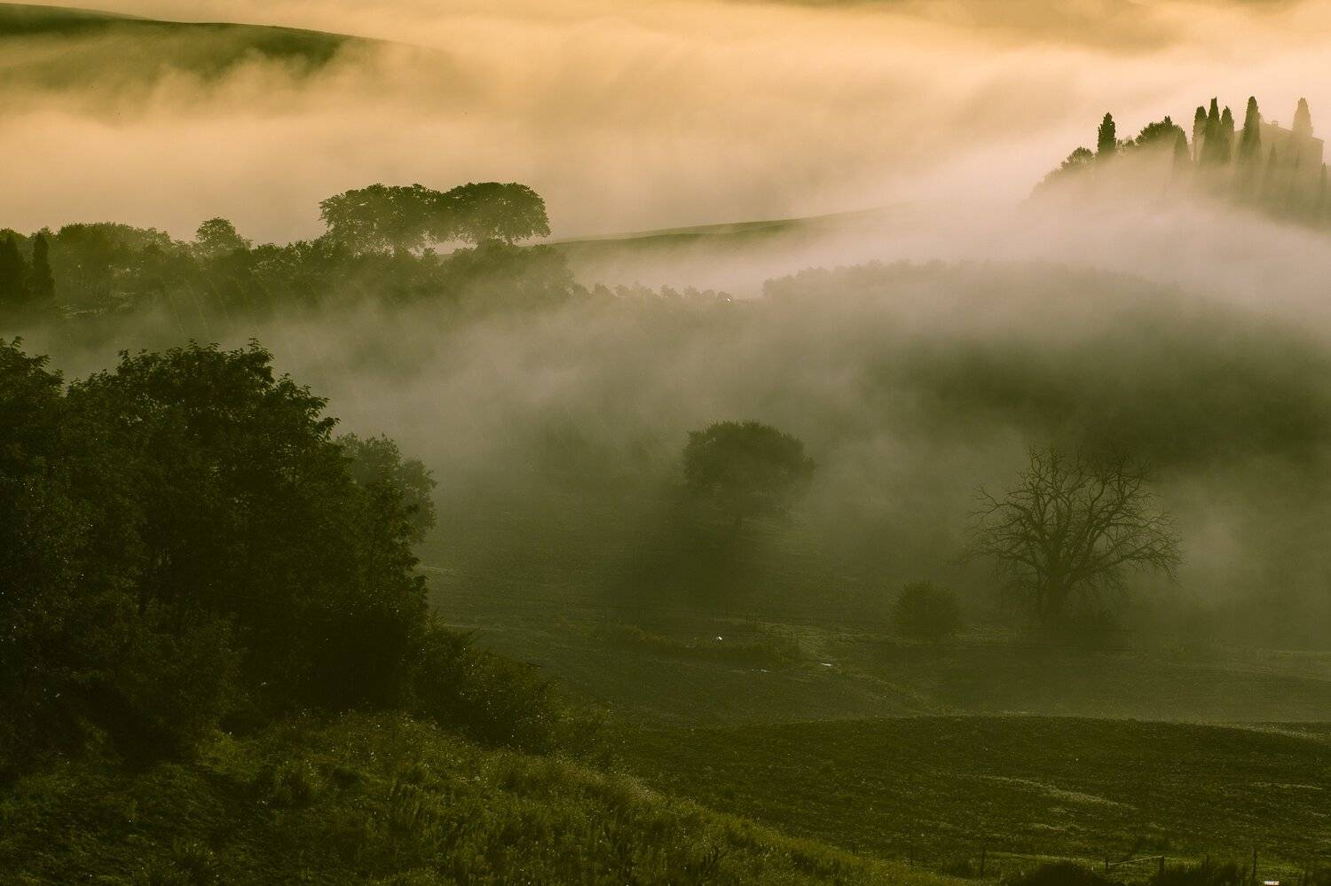 , Игорь Криницын