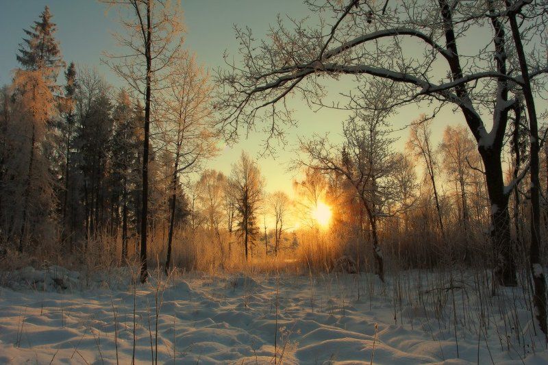 рассвет,зима,утро Морозное утро фото превью