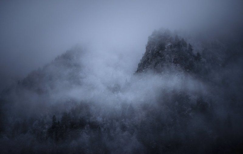 туман, горы, деревья, архыз, софийская долина, кавказ, кчр Пробуждение духов гор фото превью