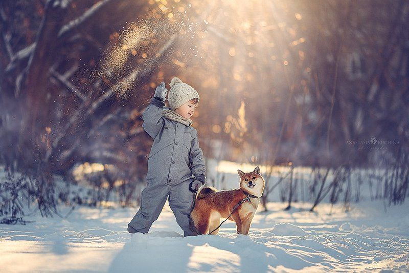 Два друга фото превью