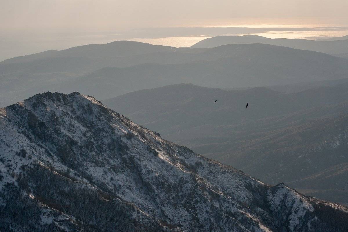 , Олег Логунов