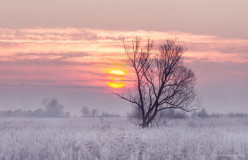 colors of the winter фото превью