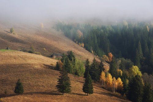 Кутаясь в туманах.