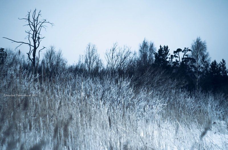 Witer`s story фото превью