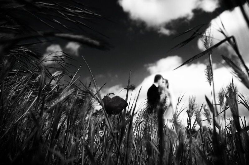 Kiss me hard before you go... фото превью