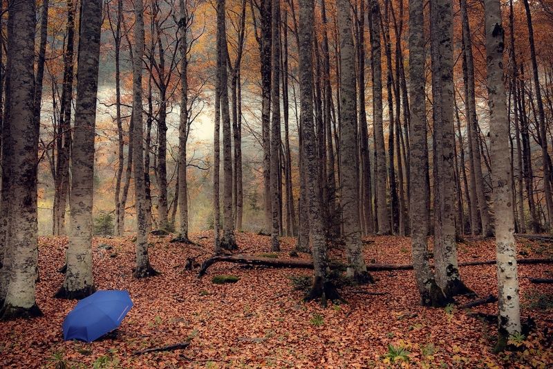 Blue фото превью