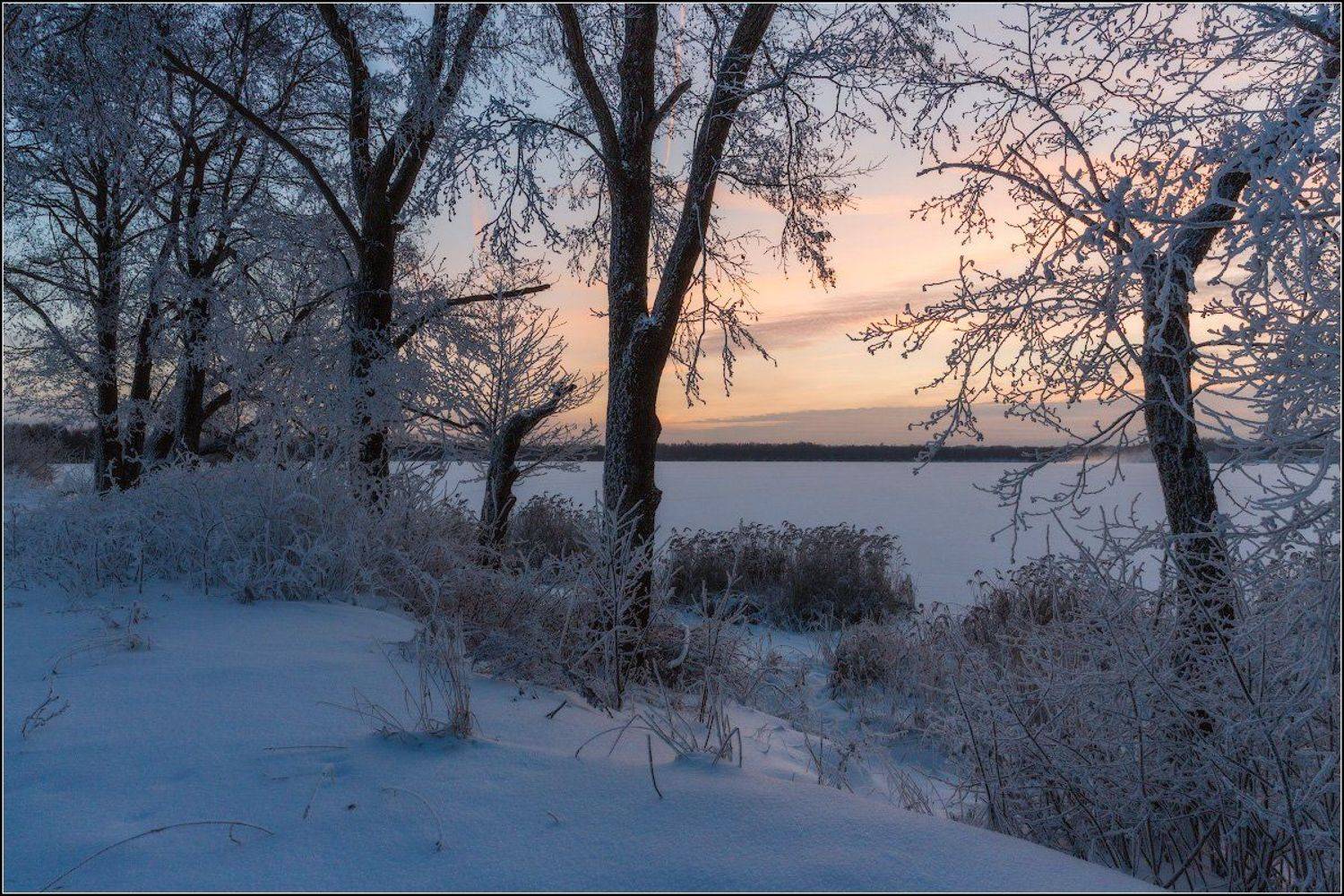 Россия, Московская обл, Шатура, Александр Марецкий