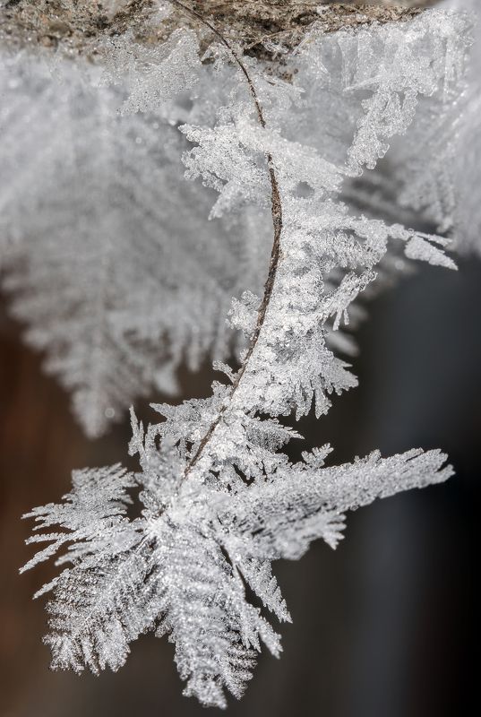 Зимние мотивы фото превью