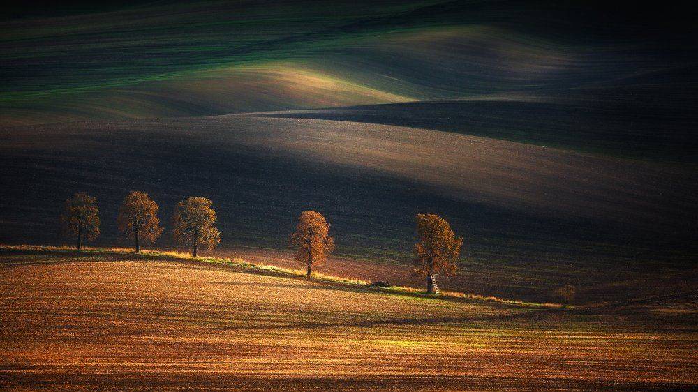 , Pawel Uchorczak