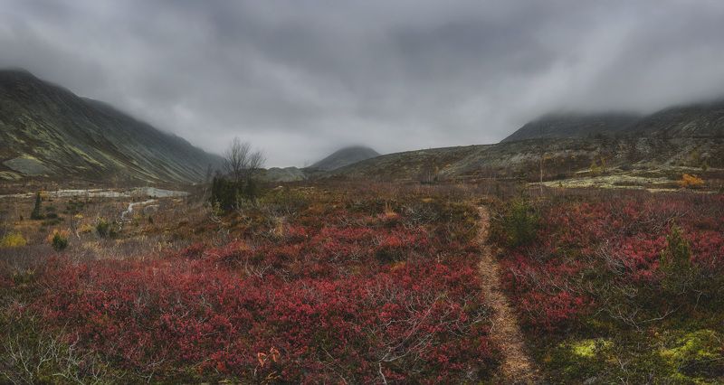 Заполярная осень фото превью