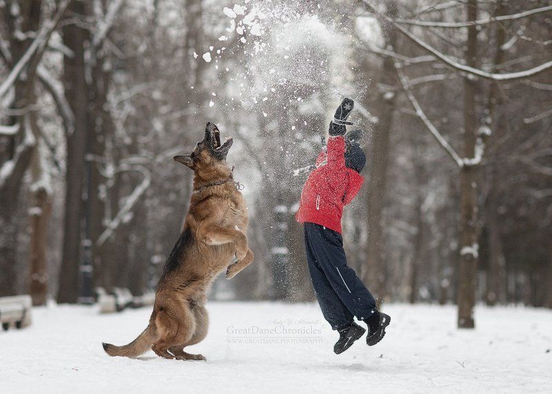 Real Winter Games фото превью