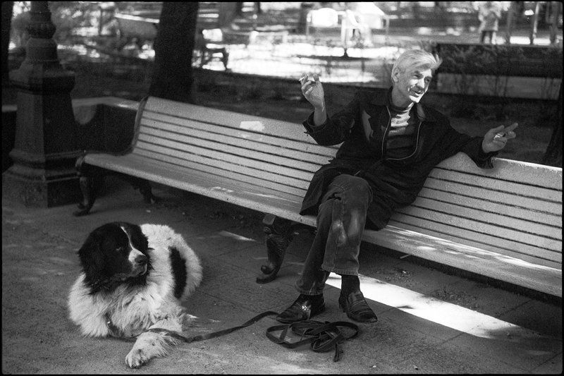 life *** фото превью