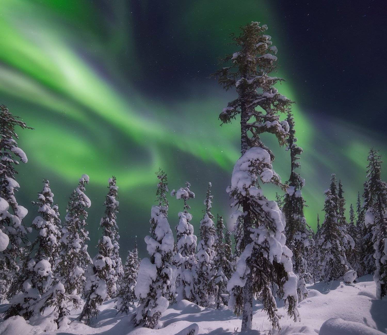 Aurora Borealis, Кольский полуостров, Северное сияние, Васильев Алексей