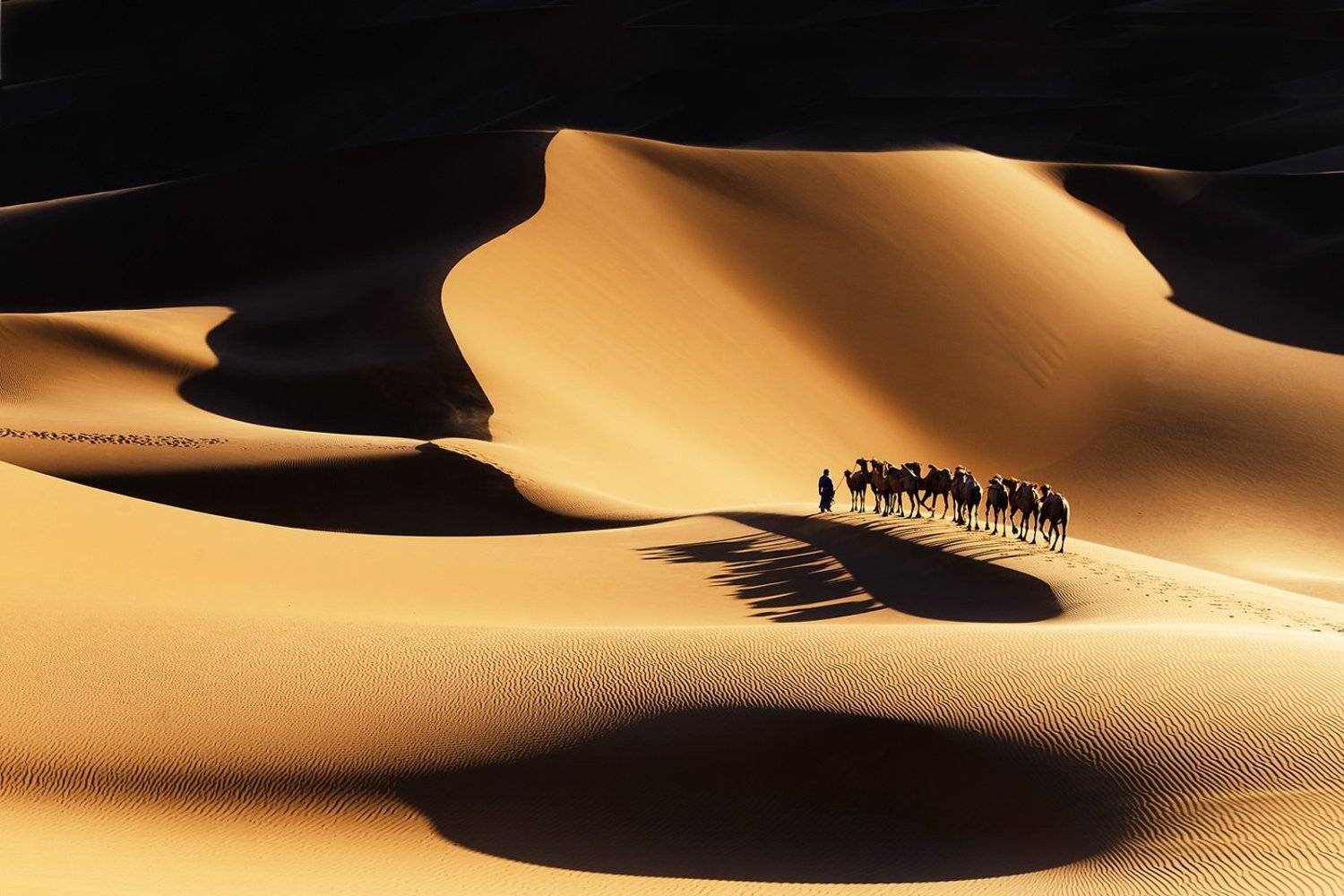 badain jaran , china, junheui song