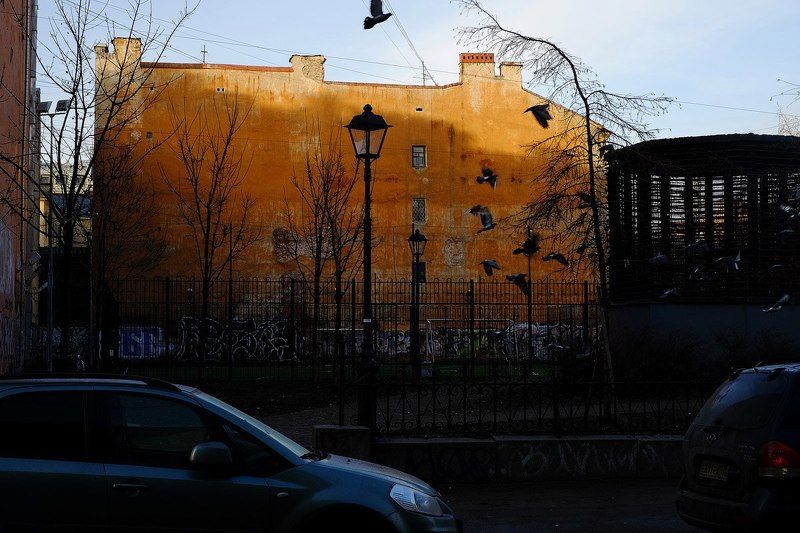 Утро в Петербурге фото превью