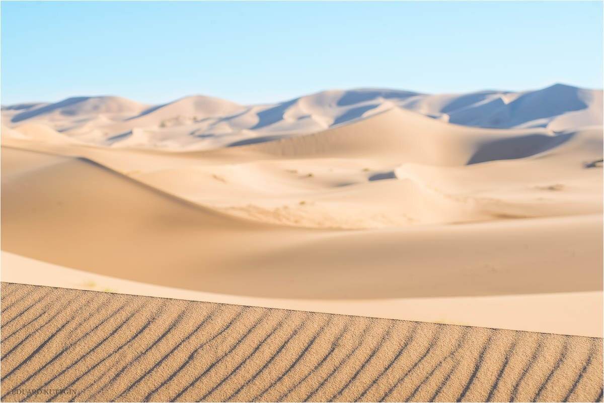 кутыгин, монголия, пески, барханы, хонгорын, элс, хонгорын элс, весна, май в монголии,, Кутыгин Эдуард