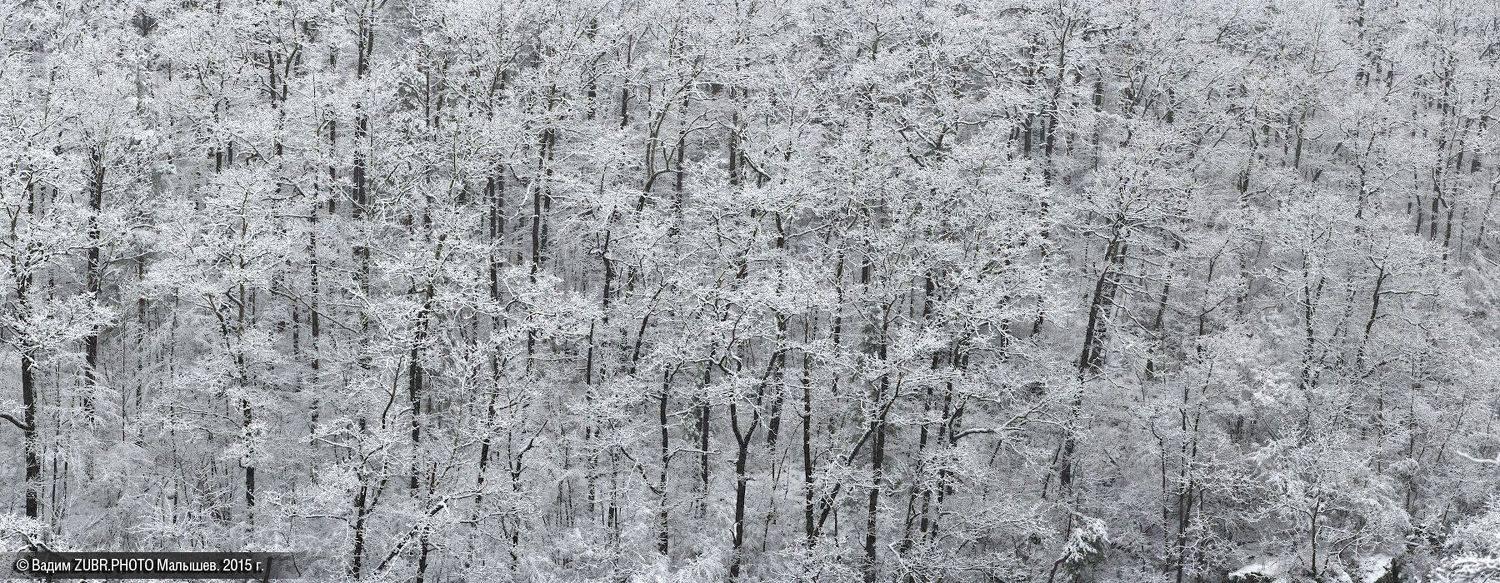 , Вадим ZUBR Малышев
