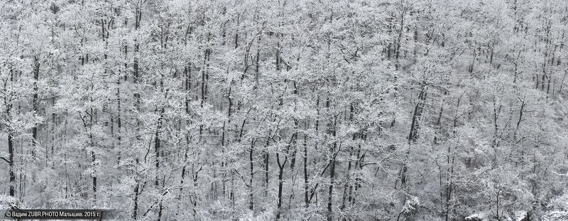 Мозаика фото превью