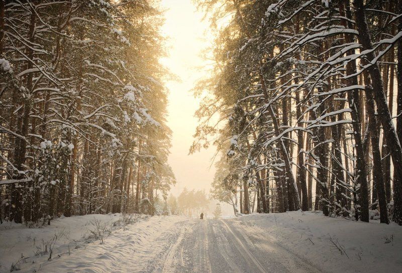 Зимняя фото превью