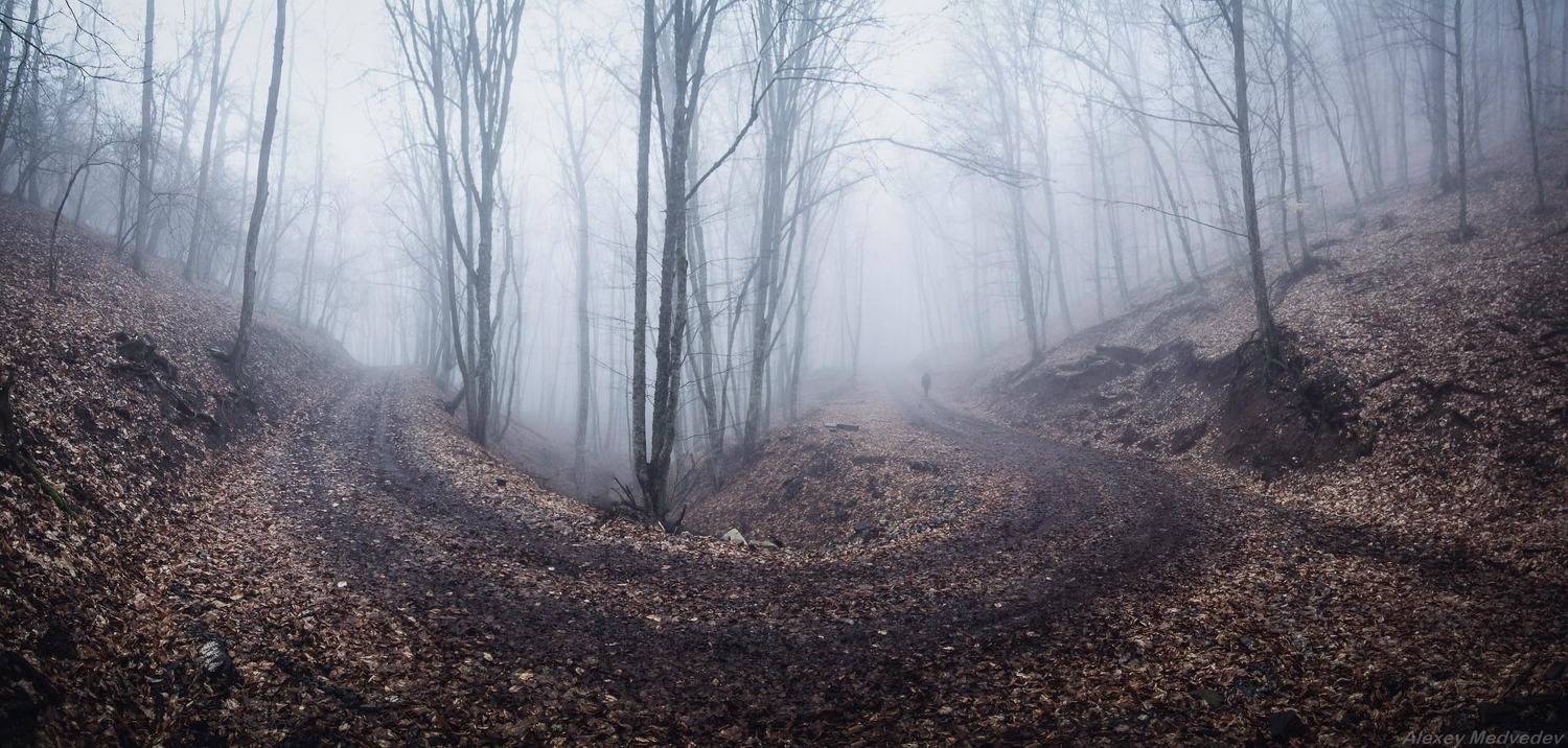 , Алексей Медведев