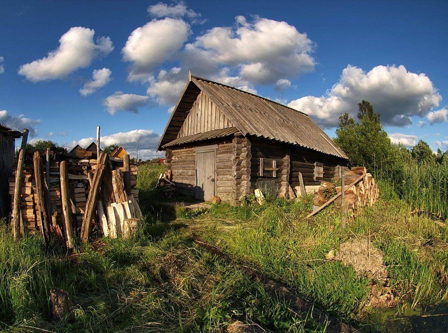 , Максим Евдокимов
