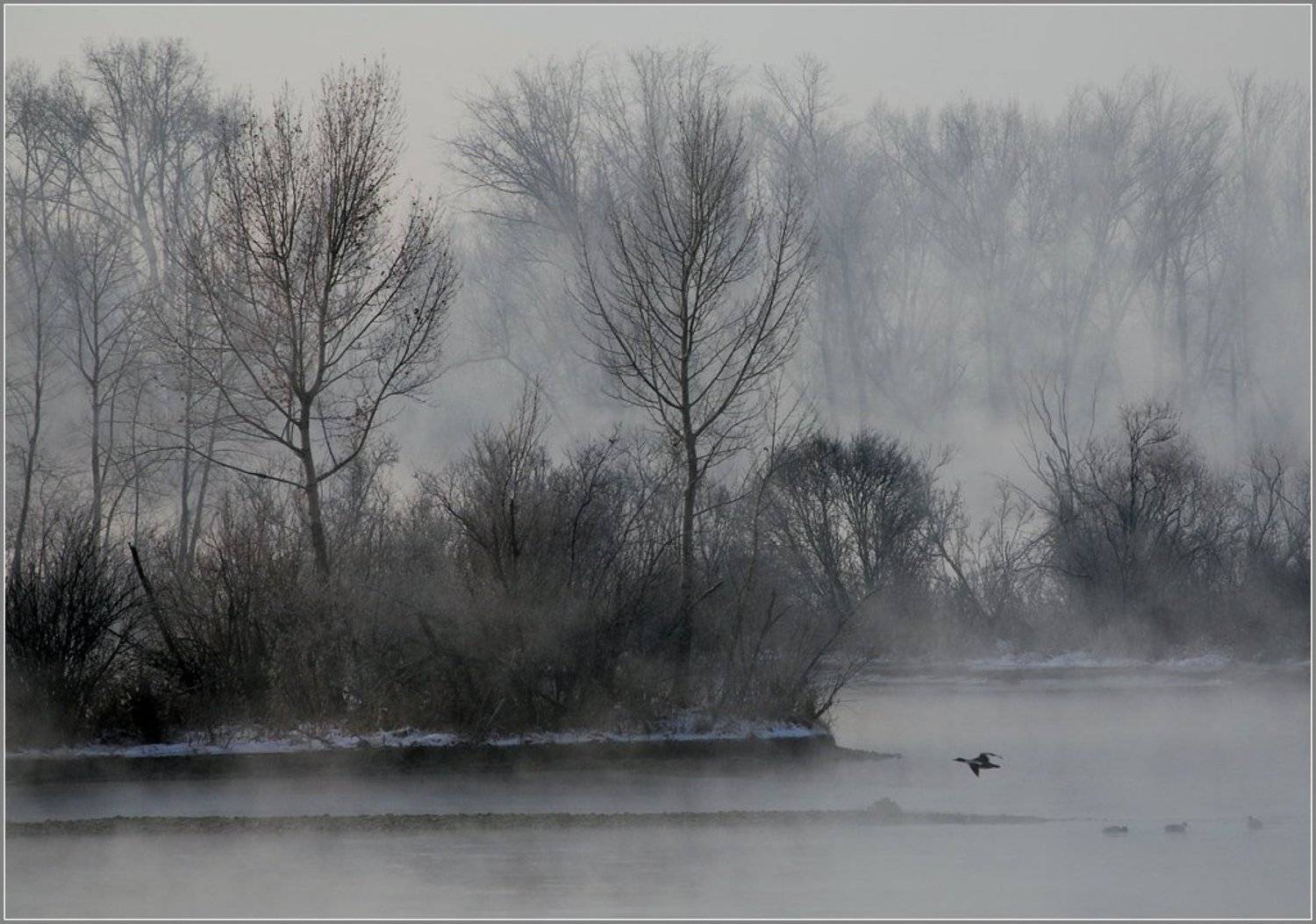 иртыш,зима, утки, Александр
