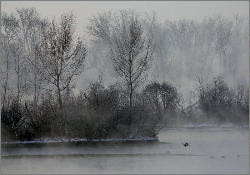 иртыш,зима, утки Утиный остров фото превью