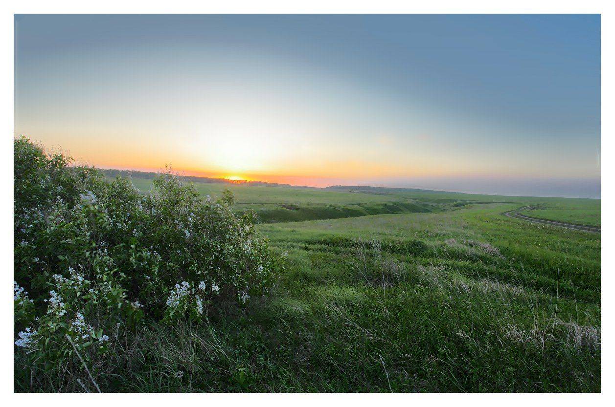куркино, вечер, Александр Мартынов