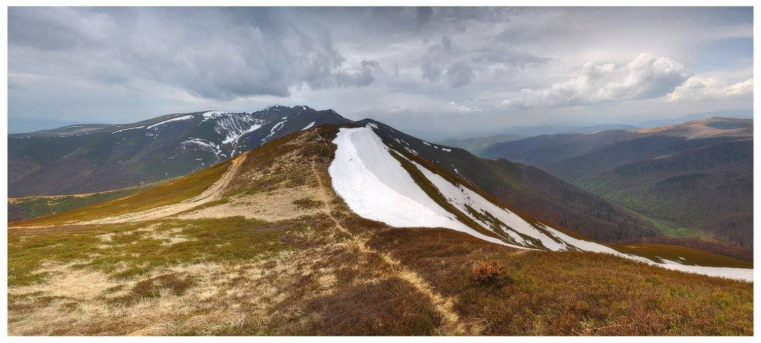 , Денис Кривой