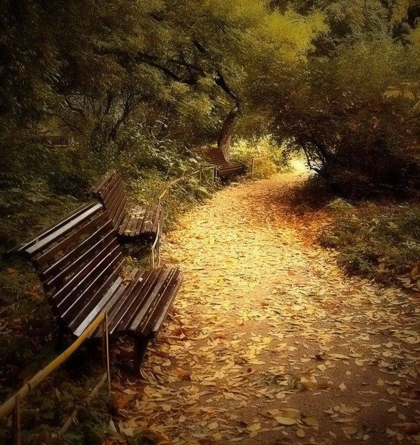 лето., осень, Александр