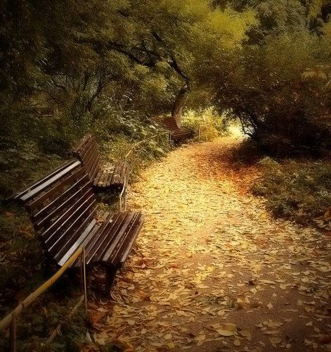 Осень в середине лета.