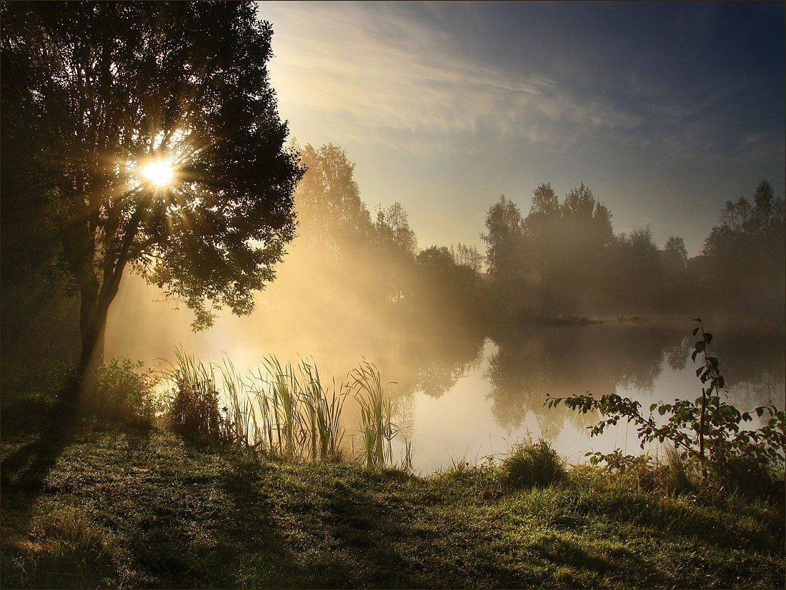 рассвет,туман,озеро, Аркадий