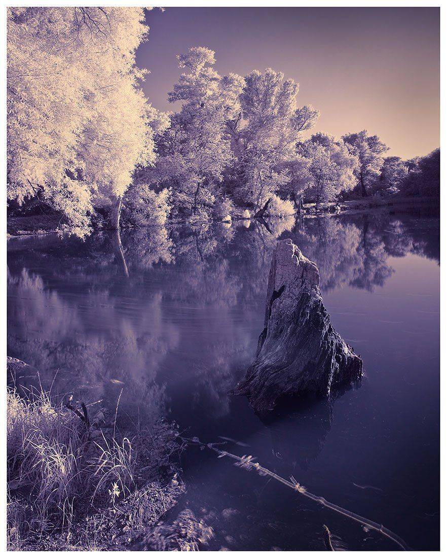 ик, ir, инфракрасная фотография, Александр