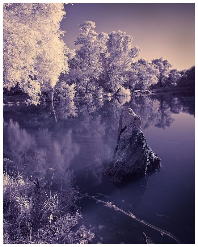 ик, ir, инфракрасная фотография Infrared фото превью