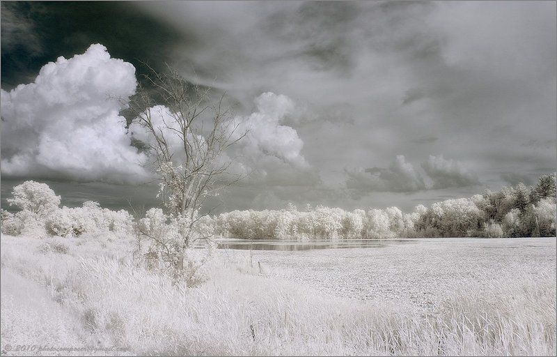 пейзаж, pilgrim, инфракрасный, infrared 95 Degrees Fahrenheit фото превью