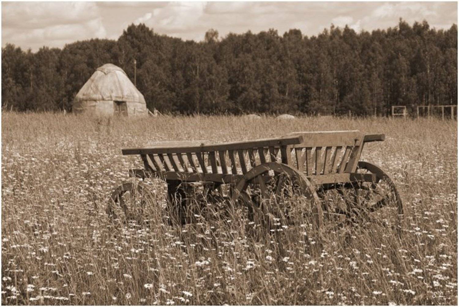 ромашки, телега, юрта, Slaura