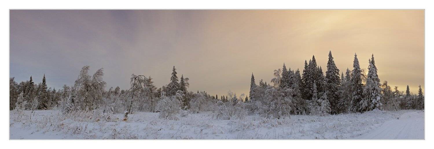 , Данил Ромодин