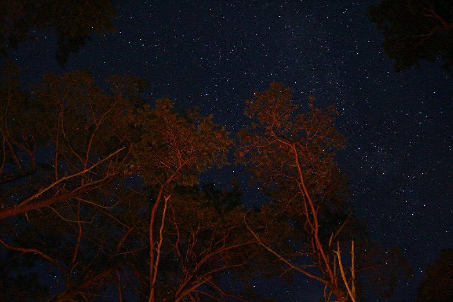 куршская коса, море, ночь, звезды, свет костра, Roman Tarasoff