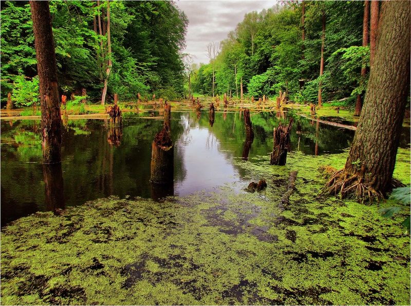 Парк юрского периода фото превью