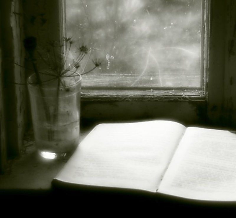 Забытое лето. фото превью